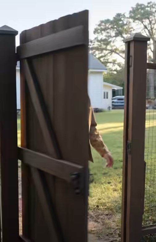 My German Shepherd Disappeared for Six Hours, Then Came Home to Lead Me Somewhere I Was Never Supposed to See