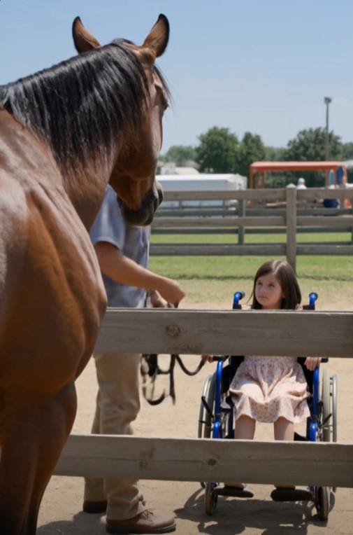 The Champion Horse Refused Every Rider… Until He Saw One Little Girl