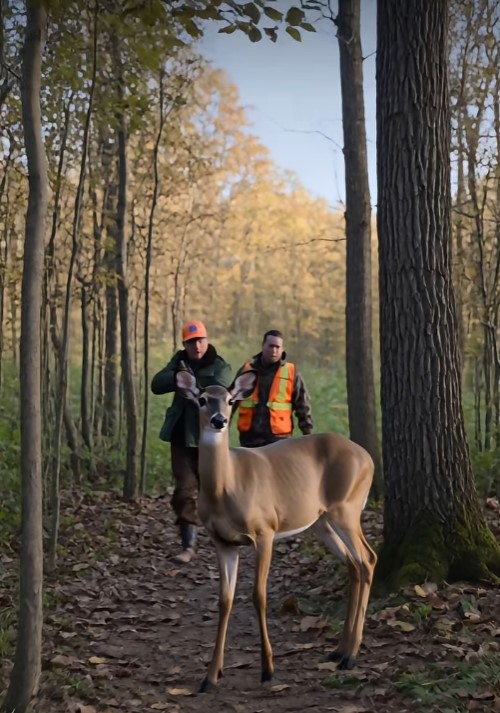 Hunters Raised Their Rifles at a Terrified Deer — Then Realized She Was Leading Them to Something Heartbreaking