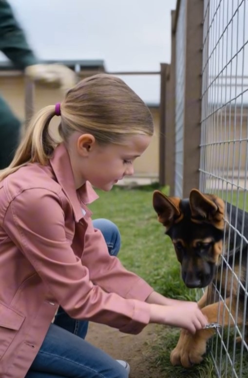 Everyone Screamed When a 7-Year-Old Girl Entered a Restricted Rescue Enclosure — Then They Saw What She Was Trying to Do