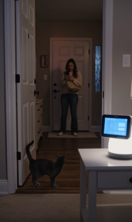 Cat Blocked The Babysitter From Leaving — Then She Heard Gasping Upstairs