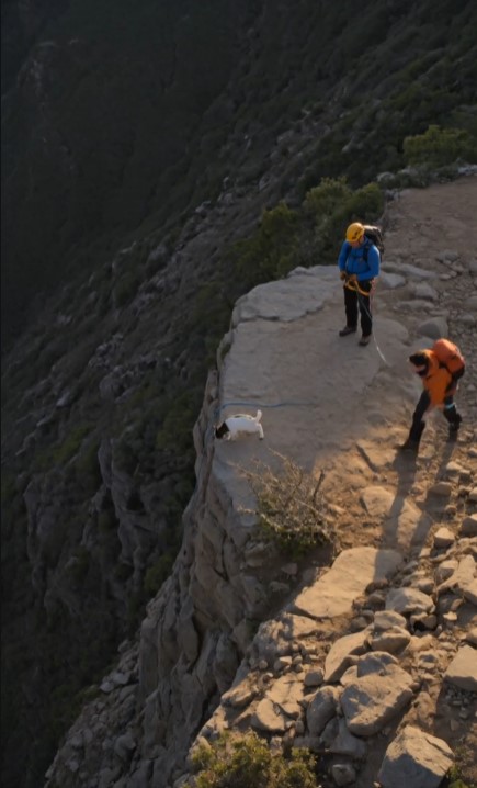 Hiker Heard Crying From A Mountain Trail — Then He Found A Goat Trapped On The Cliff