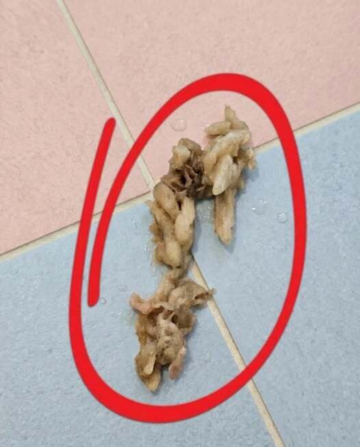 This Morning I Found This in My Girlfriend’s Bathroom… I Never Expected What It Was