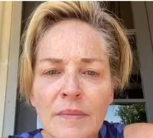 Sharon Stone Opens Up About Her Personal Journey After Making Major Lifestyle Changes
