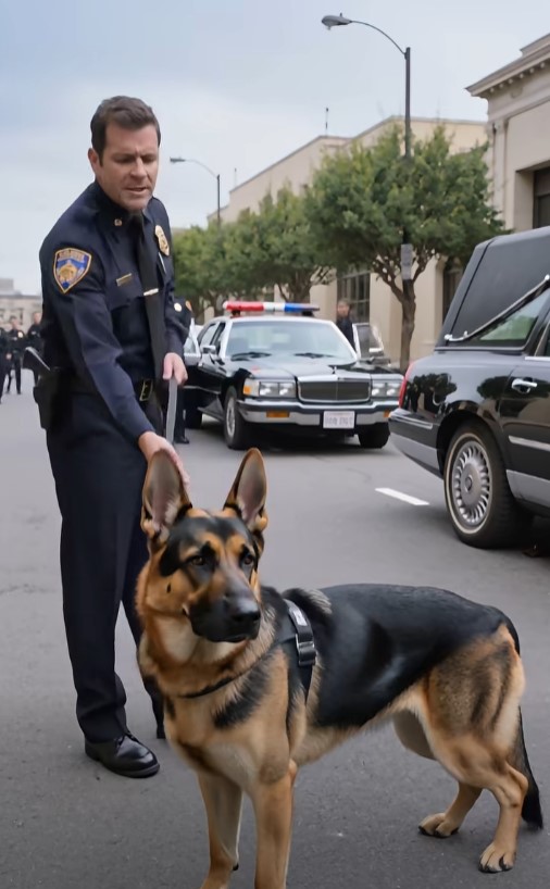 The Police K-9 Blocked the Funeral Hearse—Then They Found What Was Underneath