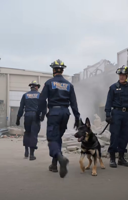 The Rescue Team Was Seconds From Leaving—Then the K-9 Barked at a Concrete Wall