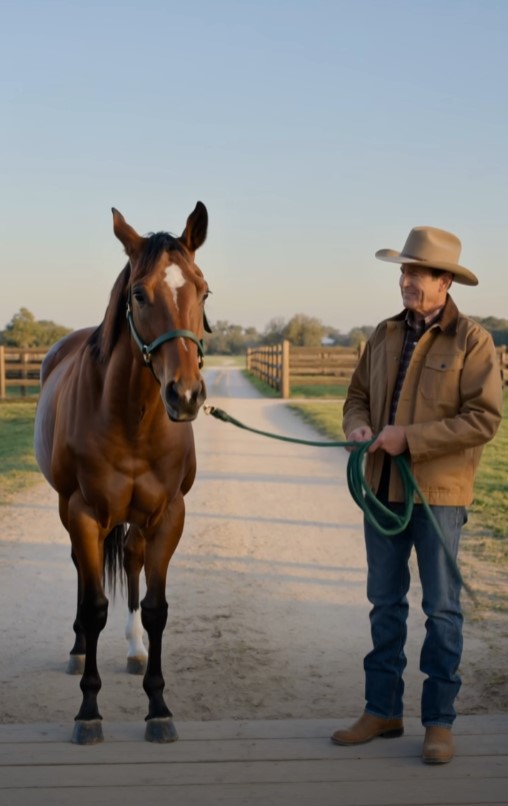 The Old Mare Refused to Cross the Bridge—Then She Saw the Man She Hadn’t Seen in Years