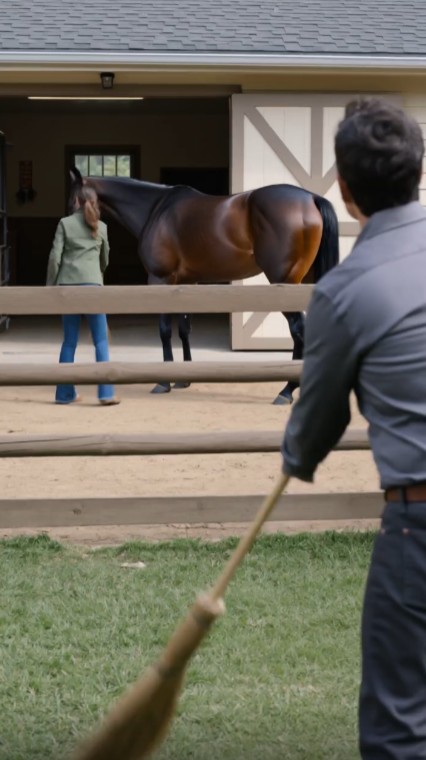 A Rescue Horse Refused to Enter the Barn—Then a Maintenance Worker Whistled Three Notes