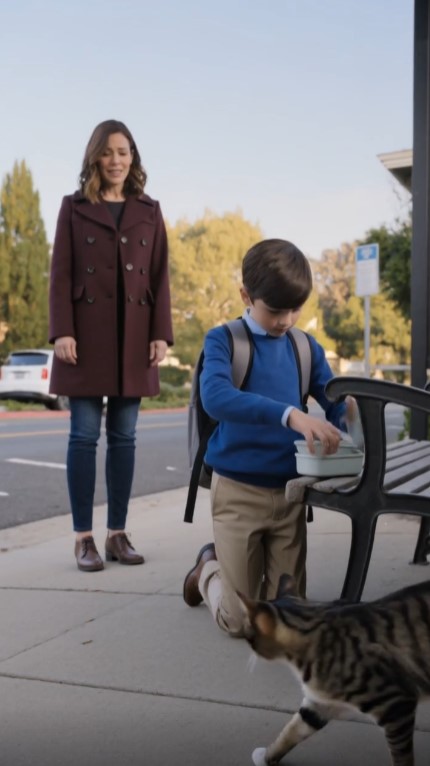 A Stray Cat Brought a 9-Year-Old Boy a Bracelet—Then His Mother Realized It Belonged to Her Missing Brother