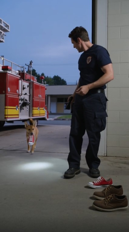 The Stray Dog Brought Shoes to the Fire Station Every Night—Then One Led Firefighters Underground