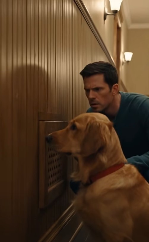 Our Dog Stared at the Same Wall Every Night—Then We Found Another Dog Hidden Behind It