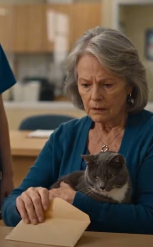 An Elderly Woman Opened Her Locket at an Animal Shelter—Then a Gray Cat Touched the Photograph Inside